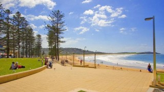 Trading Places Real Estate Services - Real Estate Agency in Dee Why